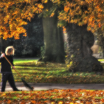 Garden Leave - Everything to Know