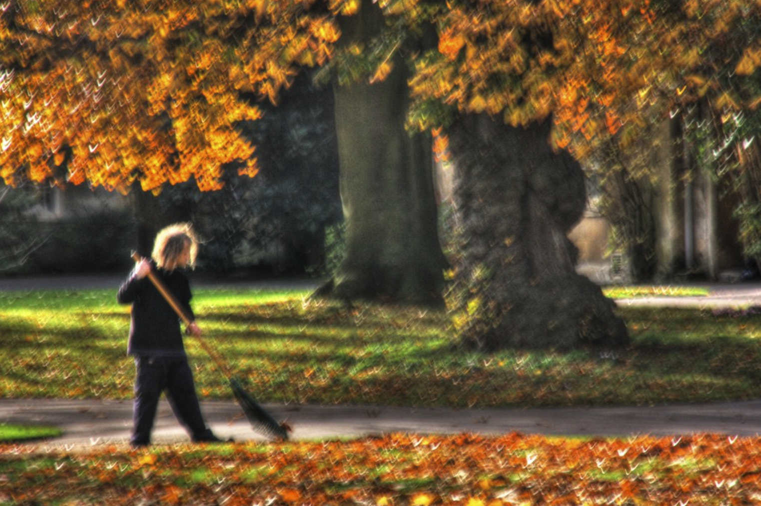 Garden Leave - Everything to Know