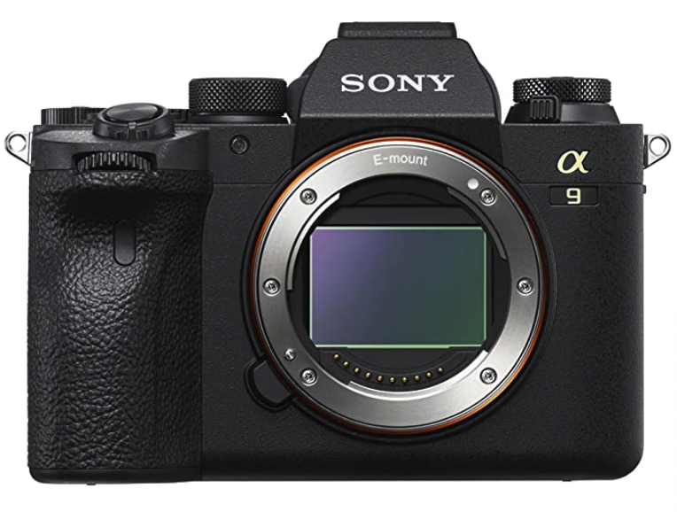 Canon vs. Sony Mirrorless Which Is the Best? Guide)